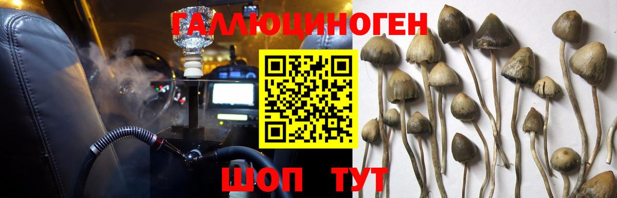 Десногорск  Псилоцибиновые грибы Psilocybine cubensis  наркошоп  Вход с VPN 